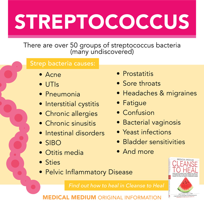 Streptococcus