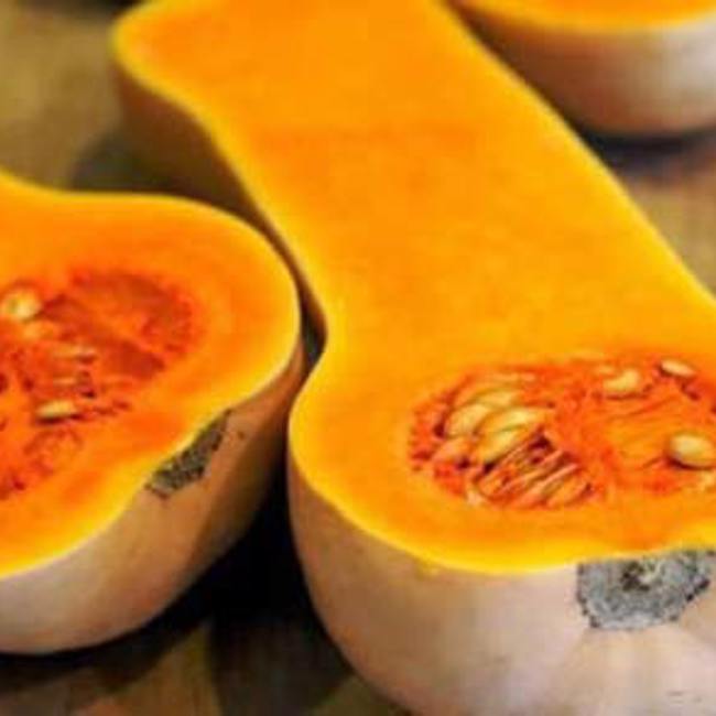 Butternut Squash