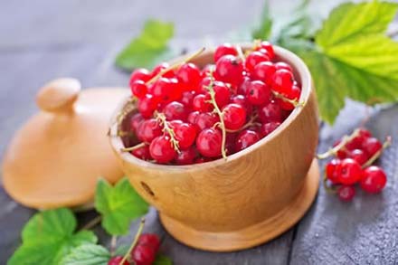 Currants