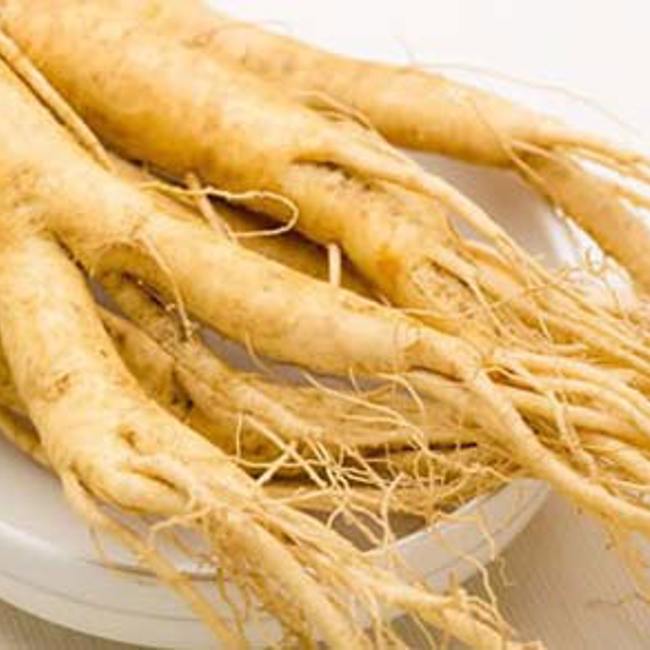 Ginseng
