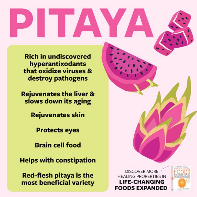 Pitaya