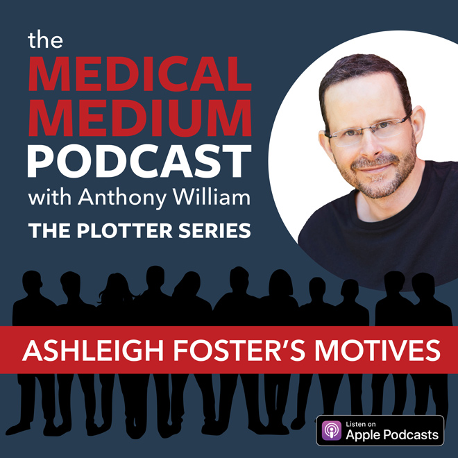 The Plotter Series S2 E2: Ashleigh Foster's Motives