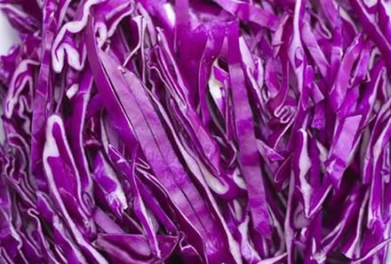 Red Cabbage