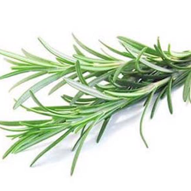 Rosemary