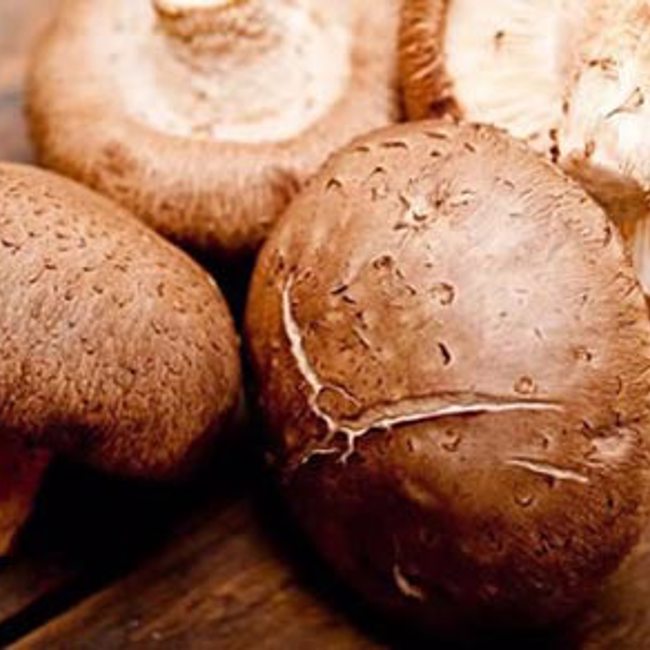 Shiitake Mushrooms