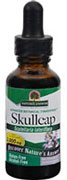 Skullcap